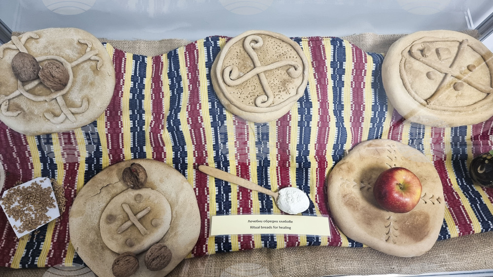 Пловдив - Медицински университет - „В името на живота“ - изложба