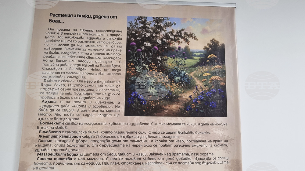 Пловдив - Медицински университет - „В името на живота“ - изложба