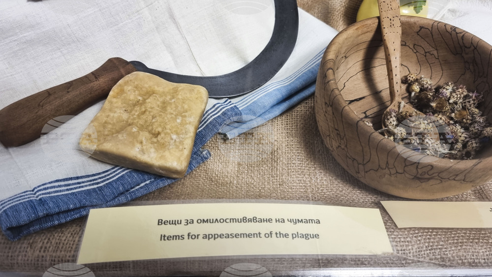 Пловдив - Медицински университет - „В името на живота“ - изложба