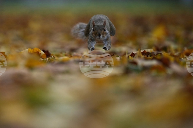 APTOPIX Britain Daily life