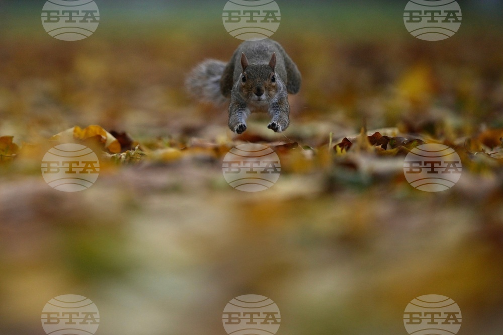 APTOPIX Britain Daily life