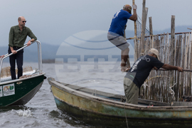 Brazil Prince William