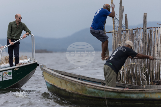 Brazil Prince William