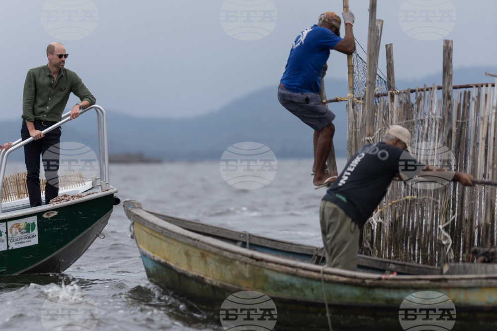 Brazil Prince William
