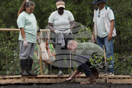 Brazil Prince William