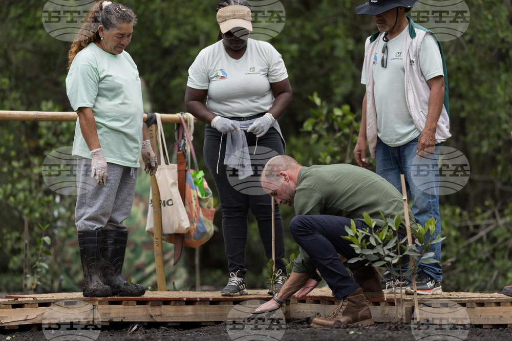 Brazil Prince William