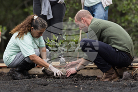 Brazil Prince William