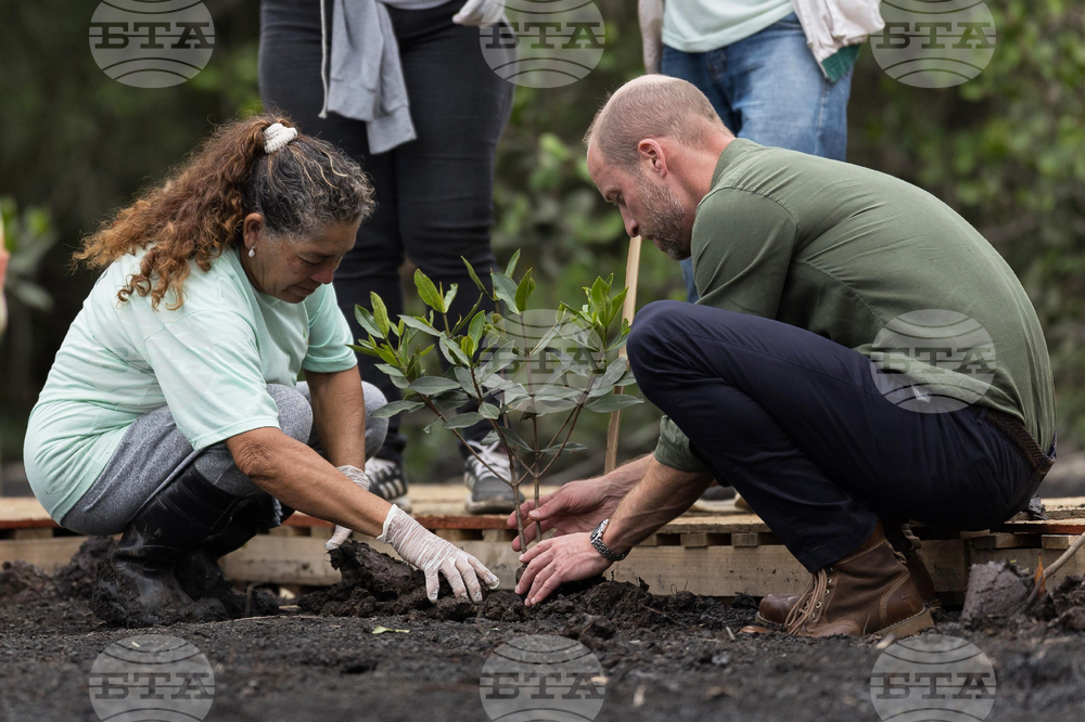 Brazil Prince William