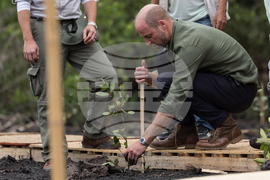 Brazil Prince William