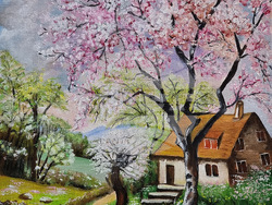 Монтана - Живка Младенова - изложба