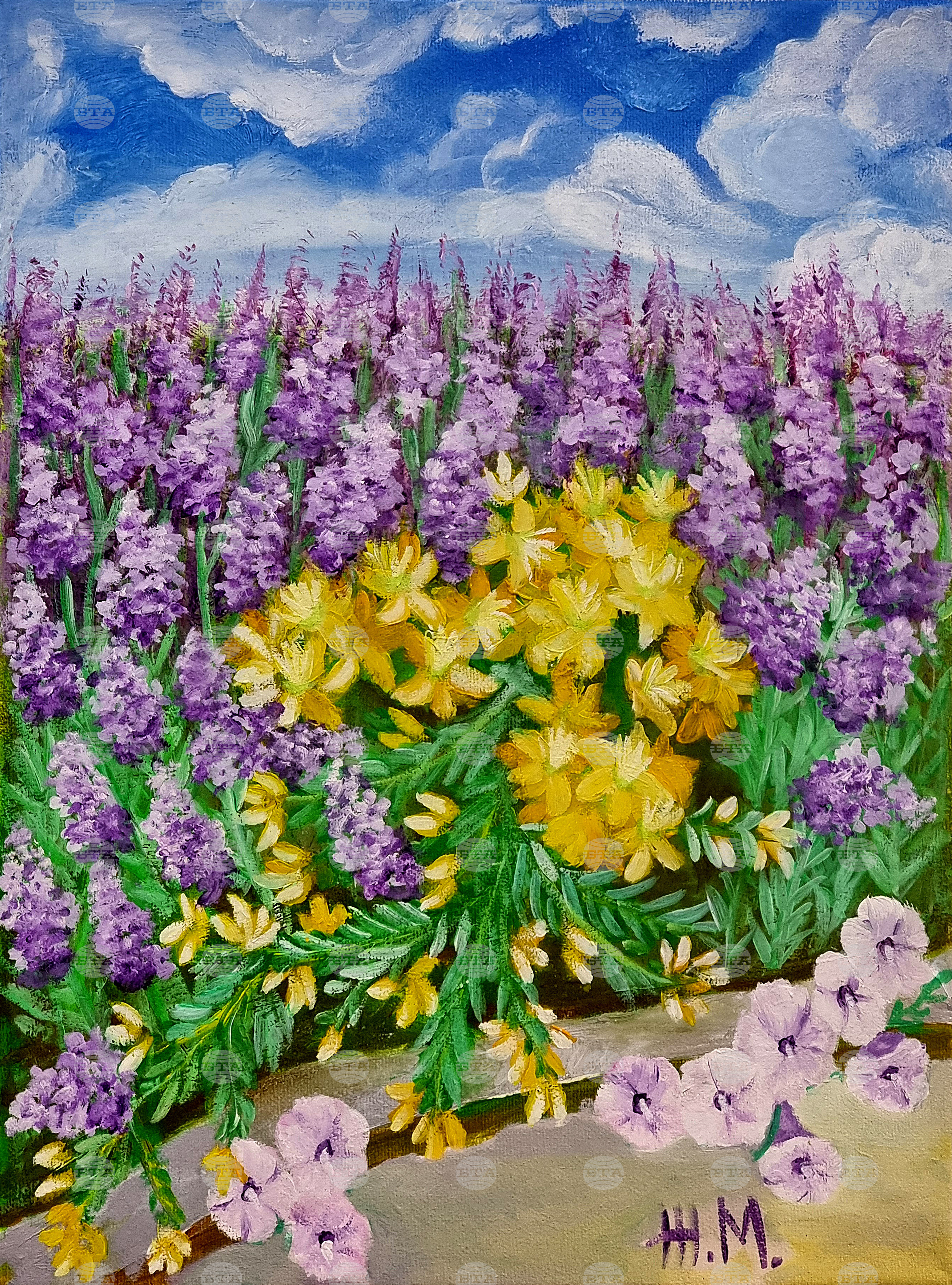 Монтана - Живка Младенова - изложба