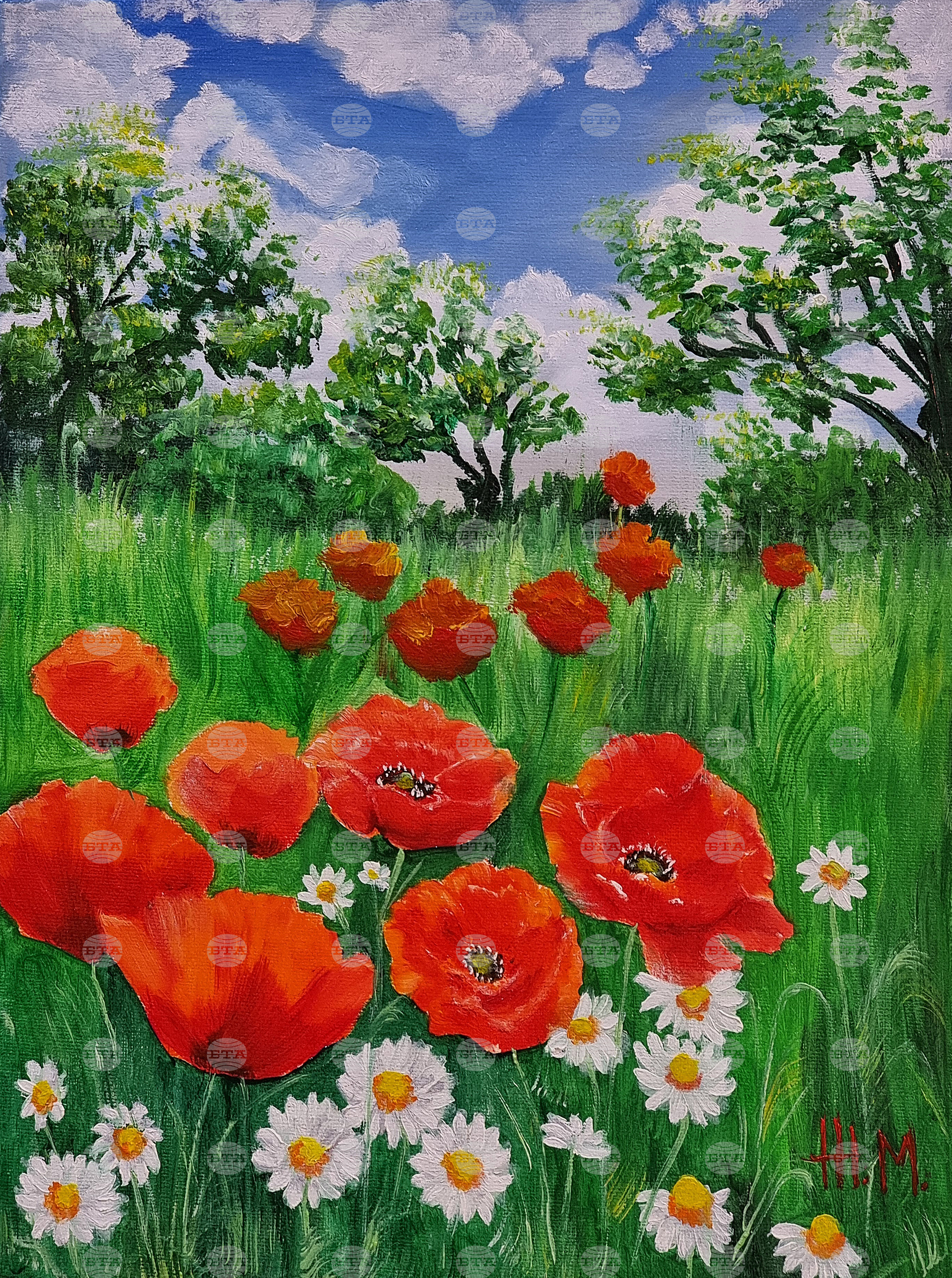 Монтана - Живка Младенова - изложба