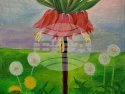 Монтана - Живка Младенова - изложба