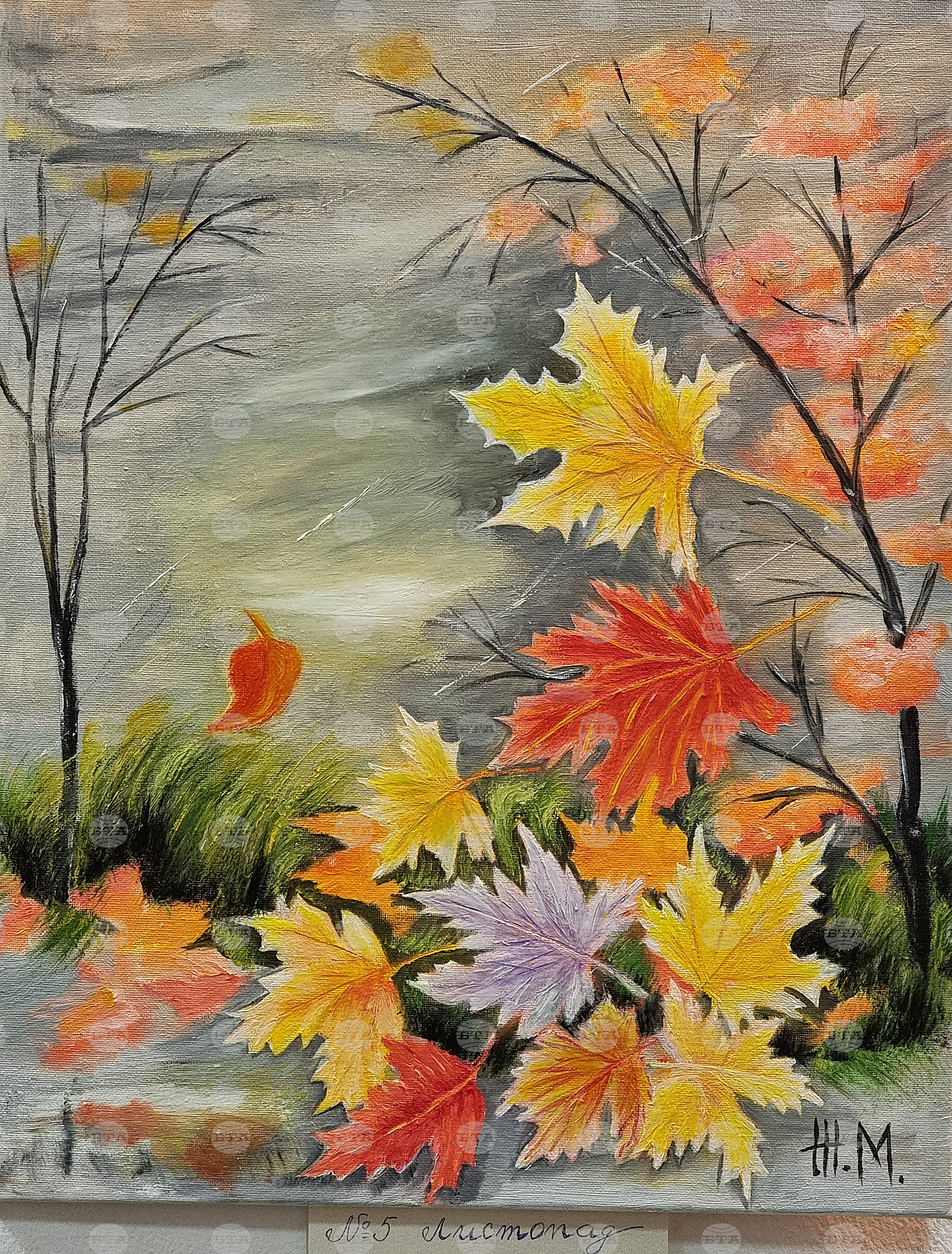 Монтана - Живка Младенова - изложба