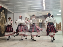 Плевен - художници - есенен салон