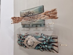 Плевен - художници - есенен салон