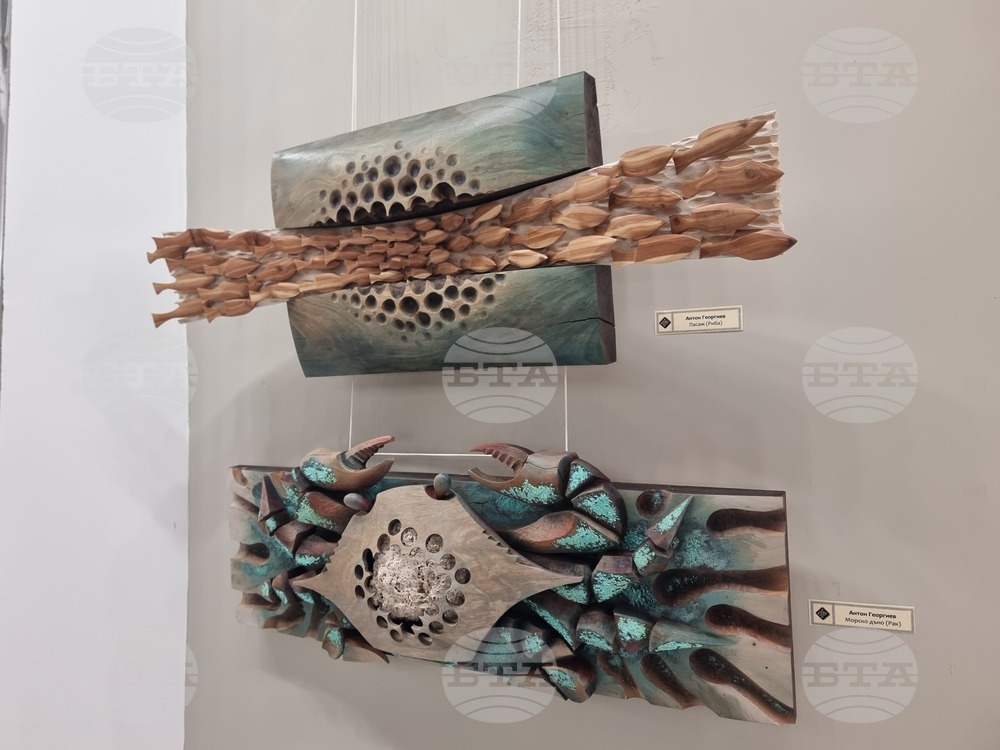 Плевен - художници - есенен салон