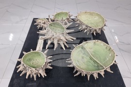 Плевен - художници - есенен салон