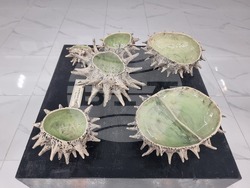 Плевен - художници - есенен салон