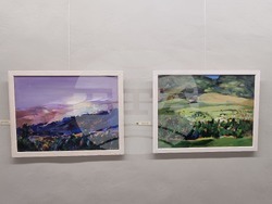 Плевен - художници - есенен салон