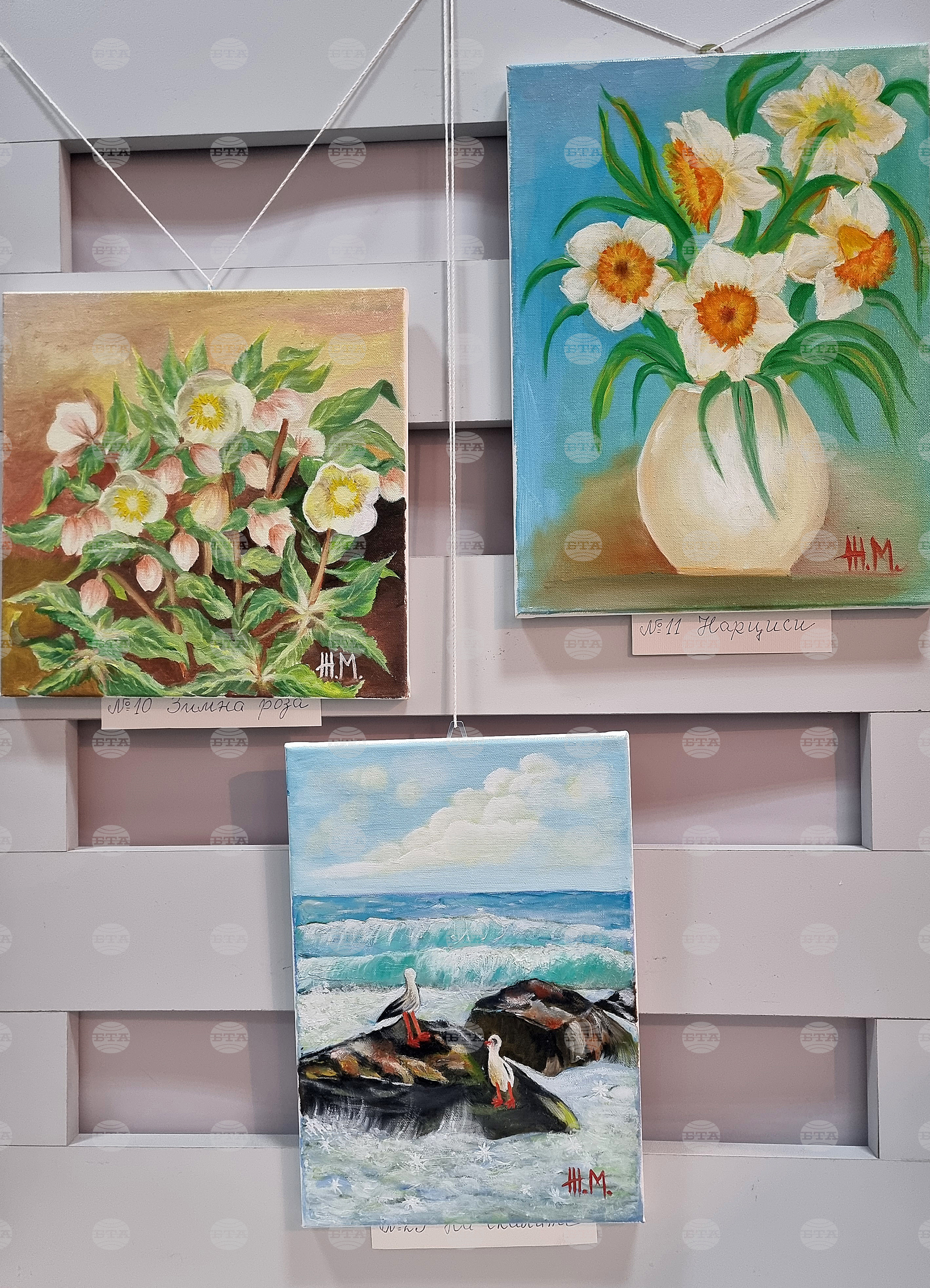 Монтана - Живка Младенова - изложба