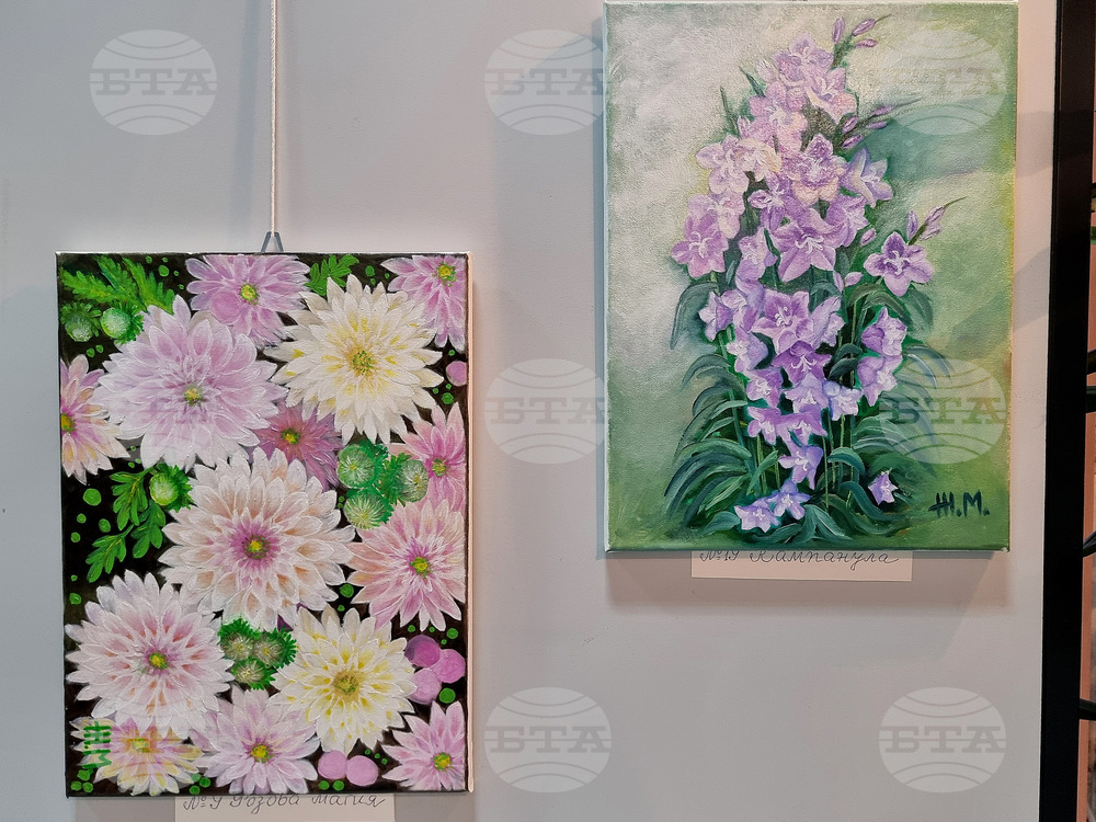 Монтана - Живка Младенова - изложба