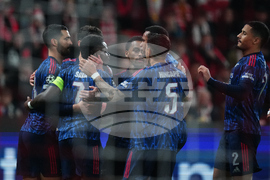 Czech Republic Soccer Champions League