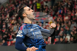 Czech Republic Soccer Champions League