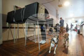 Election 2025 America Votes