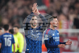 Czech Republic Soccer Champions League