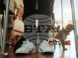 APTOPIX Election 2025 America Votes