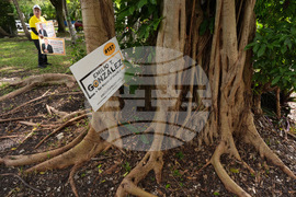 Election 2025 America Votes