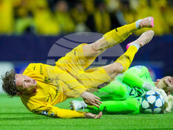 Norway Soccer Champions League