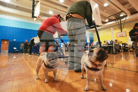 APTOPIX Election 2025 America Votes