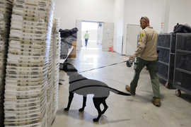 Election 2025 America Votes