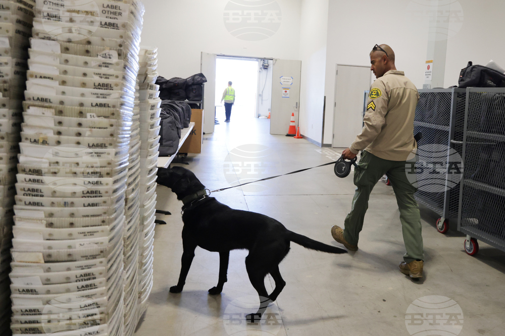 Election 2025 America Votes