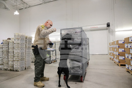 Election 2025 America Votes