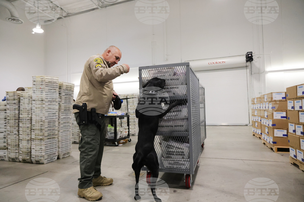 Election 2025 America Votes