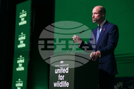 Brazil Prince William