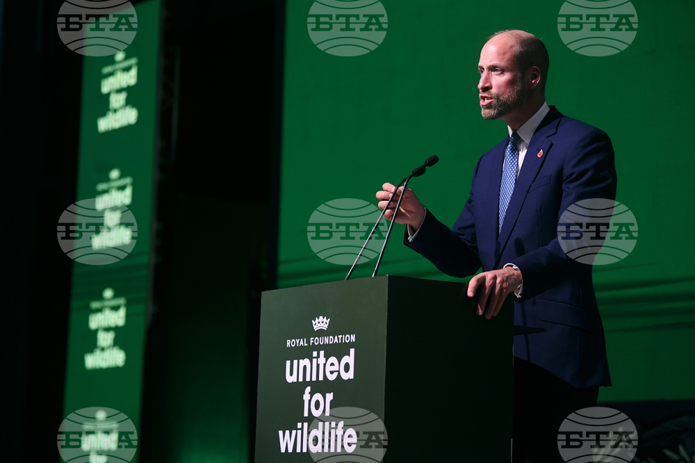 Brazil Prince William