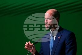 Brazil Prince William