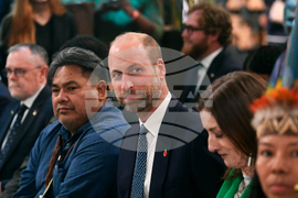 Brazil Prince William