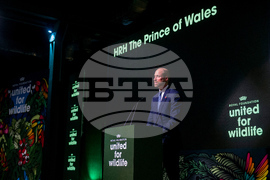 Brazil Prince William