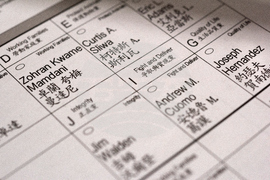 Election 2025 NYC Mayor