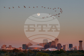 New Orleans Daily Life