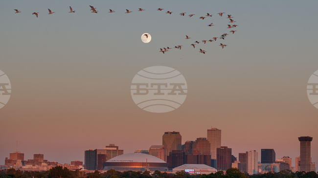 Американското правителство разполага федерални агенти срещу престъпници мигранти в Ню Орлиънс