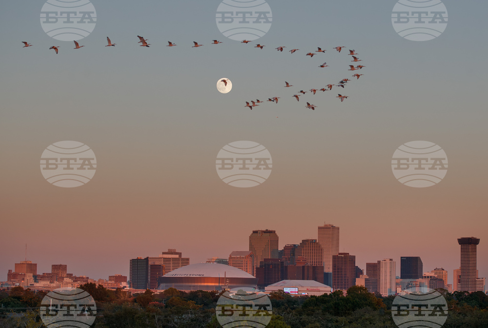 New Orleans Daily Life