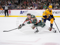 Predators Wild Hockey