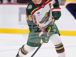 Predators Wild Hockey