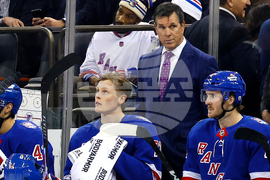 Hurricanes Rangers Hockey